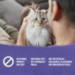 Beyond Wet Cat Food, Cage-Free Turkey, Sweet Potato & Spinach in Gravy - 85 g Can (12 Pack) - Image 6