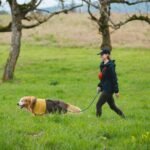 Ruffwear, Knot‑a‑Leash, Climbing‑Inspired Rope Leash, 5 ft Reflective Rope, Secure Auto‑Locking Swivel Carabiner, Tubular Handle, Accessory Loop for Pick‑Up Bags, Obsidian Black, Large - Image 7