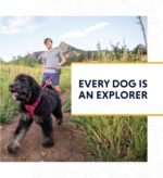 Ruffwear, Knot‑a‑Leash, Climbing‑Inspired Rope Leash, 5 ft Reflective Rope, Secure Auto‑Locking Swivel Carabiner, Tubular Handle, Accessory Loop for Pick‑Up Bags, Obsidian Black, Large - Image 11