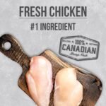 Nutrience Infusion Healthy Senior Cat Food, 5 kg (11 lb), Canadian Chicken, Freeze-Dried Infused Kibble, Dry Cat Food, Nourriture Pour Chat, Manger Pour Chat - Image 6