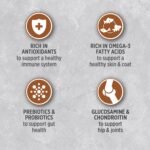 Nutrience Infusion Healthy Senior Cat Food, 5 kg (11 lb), Canadian Chicken, Freeze-Dried Infused Kibble, Dry Cat Food, Nourriture Pour Chat, Manger Pour Chat - Image 7