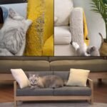 CHUANGSEED Anti Cat Scratch Tape 4" x 30Yds Cat Training Tape, 100% Clear Double Sided Cat Scratch Deterrent Tape, Furniture Protector for Sofa, Carpet, Doors,Cat Scratch Protector - Image 7