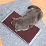 Pet Nail Sandpaper - Pet Scratching Sandpaper, 3 Pcs Dog Scratch Board Replaceable Sticky Back Sand Paper, 20 X 10 Inch Pets Scratch Liner for Litter Box, Furniture, Or Dog Board - Image 4