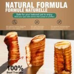 6 Inch Beef Trachea Dog Chews (6pcs - 8oz)-Trachea Dog Treats,Digestible and Safe Chews for Dogs - Natural High Protein for Medium & Large Dogs,Teeth Grinding & Cleaning, Supports Dental Health - Image 4