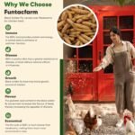 Dried Worms Black Solider Fly Larvae 5LB, Superior to Mealworms Chicken Treat, 86x Calcium Than Meal Worms, 100% Non-GMO Organic Chicken Feed (2.27 Kg) - Image 5