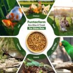 Dried Worms Black Solider Fly Larvae 5LB, Superior to Mealworms Chicken Treat, 86x Calcium Than Meal Worms, 100% Non-GMO Organic Chicken Feed (2.27 Kg) - Image 6