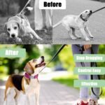 Prong Training Collar for Dogs, Adjustable Dog Pinch Collar with Quick Release Buckle, No Pull Collar for Small Medium Large Dogs, Extra Link and Caps (Pink, S (14-17" Neck, 2.25mm)) - Image 4