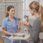 Cat Toys,3 Pack Silvervine Cat Feather Toy Kitten Chew Stick Catnip Treat with Bell for Cleaning Teeth Indoor Kitty Teaser Wand Molar Snack Interactive Pet Rabbit Bunny Hamster - Image 3