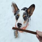 Natural Beef Collagen Sticks for Dogs – Long-Lasting Rawhide-Free Dog Chews – High Protein Treat with Glucosamine & Chondroitin – Canadian Company (6", 25 Count) - Image 8