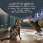 Reveal Natural Wet Cat Food in Broth, Limited Ingredient Grain Free Canned Cat Food, Protein with No Artificial Additives, Fish & Chicken Variety in Gravy (12 x 2.47 oz Cans) - Image 9