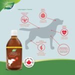 Nature’s Way NutraSea Omega-3 Canine Supplement for Dogs – Helps Support Dogs’ Skin, Coat, Muscles, Joints, Heart & Brain – 1170 mg of EPA + DHA – Smoky Meat Flavour, 500 mL - Image 3