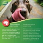 Nature’s Way NutraSea Omega-3 Canine Supplement for Dogs – Helps Support Dogs’ Skin, Coat, Muscles, Joints, Heart & Brain – 1170 mg of EPA + DHA – Smoky Meat Flavour, 500 mL - Image 4