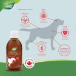Nature’s Way NutraSea Omega-3 Canine Supplement for Dogs – Helps Support Dogs’ Skin, Coat, Muscles, Joints, Heart & Brain – 1170 mg of EPA + DHA – Smoky Meat Flavour, 200 mL - Image 3