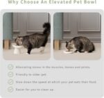 CEEFU 2 Extra Wide Raised Cat Food Bowl, Elevated Cat Bowls Anti-Vomiting Cat Feeder Whisker Stress-Free Dog Two Bowls Ceramic Cat Feeding Bowls White - Image 6