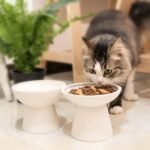 CEEFU 2 Extra Wide Raised Cat Food Bowl, Elevated Cat Bowls Anti-Vomiting Cat Feeder Whisker Stress-Free Dog Two Bowls Ceramic Cat Feeding Bowls White - Image 8