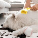 Pet Bath Brush, 2025 New Dog Cat Shower BrushPet Massage Bath Brush,All Coat Types (Green) - Image 5
