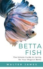 Betta Fish: The Simple Guide to Caring for Your Magical Betta - Image 2
