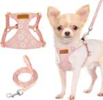 Lukovee Puppy Harness and Leash Set, No Pull Lightweight Pet Harness Vest for Puppy Small and Medium Size Dog, Adjustable Soft Suede Dog Leash Set (Pink,XXS) - Image 2