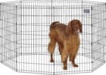 Midwest Foldable Metal Exercise Pen / Pet Playpen, Black 24"W x 42"H - Image 2