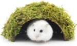 Mossy Cave Hide,Coconut Shell Green Sphagnum, Cage Accessories for Hamsters/Gguinea Pig/Hedgehogs/Gliders/Rats/Mice and Other Small Animals (Small) - Image 2