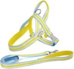 No Pull Dog Harness Small Breed,Puppy Harness and Leash Set Easy Walk Pet Harness Soft Mesh Comfort Fit,Dog Vest Harness No Pull for Medium Dog - Image 2