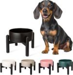Raised Ceramic Dog Bowl - Elevated Food Water Dish with Stainless Steel Stand - for Small to Medium Dogs - 6 Inch - 2 Cups (28.75 fl oz) - Black - Image 2
