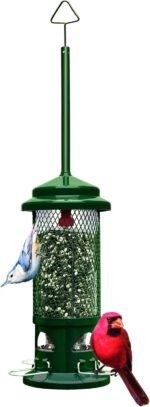 Squirrel Buster Standard Squirrel-Proof Feeder for Wild Birds – 4 Metal Perches, 1.3 lb Seed Capacity, Chew-Proof, Easy to Fill & Clean, Perfect for Sunflower Seeds, Blends & Dried Mealworms, Green - Image 2