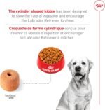Royal Canin Labrador Retriever Adult Breed Specific Dry Dog Food, 17 lb. bag - Image 5