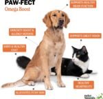 Deley Naturals Wild Alaskan Salmon Oil for Dogs & Cats - New & Improved Salmon Oil Plus Formula - Fish Oil for Dogs with DHA & EPA Fatty Acids - Omega 3 for Dogs Immunity, Healthy Skin & Coat - 473ml - Image 5
