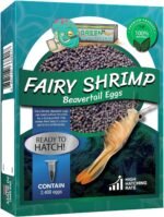 GreenWaterFarm Fairy Shrimp Beavertail Eggs Live Fish Food for Hatching and Culture Suitable for Feed Betta Fish - Image 2