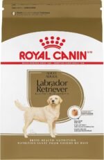 Royal Canin Labrador Retriever Adult Breed Specific Dry Dog Food, 17 lb. bag - Image 2
