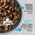 Nutrience Infusion Healthy Adult Indoor Cat Food, 2.27 kg (5 lb), Canadian Ocean Fish, Freeze-Dried Infused Kibble, Dry Cat Food, Nourriture Pour Chat, Manger Pour Chat - Image 5