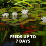 Tetra Pond Vacation Fish Food, 7 Day Slow Release Feeder Block - Image 6