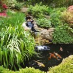 Tetra Pond Vacation Fish Food, 7 Day Slow Release Feeder Block - Image 8