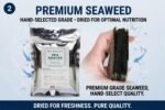 Sea Snacks - Premium Dried Seaweed - 1 oz, (30g) - Ideal Nutrition for Your Aquarium, Fresh or Saltwater, The Best Available Quality, Stays Together Longer - Image 7