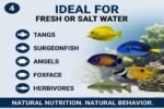 Sea Snacks - Premium Dried Seaweed - 1 oz, (30g) - Ideal Nutrition for Your Aquarium, Fresh or Saltwater, The Best Available Quality, Stays Together Longer - Image 9
