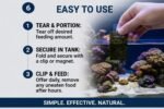 Sea Snacks - Premium Dried Seaweed - 1 oz, (30g) - Ideal Nutrition for Your Aquarium, Fresh or Saltwater, The Best Available Quality, Stays Together Longer - Image 10